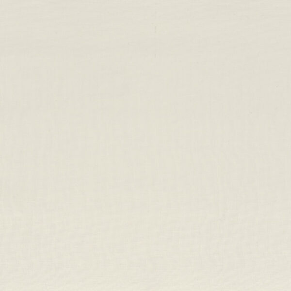 Amauris Wallpaper 7053