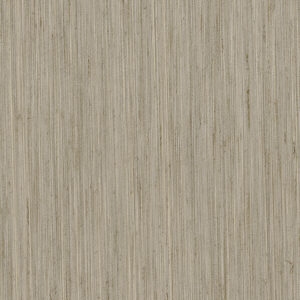 Jussieu Wallpaper 7064