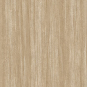 Eucalyptus - 8598 14 04