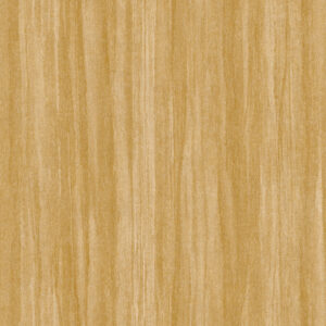 Eucalyptus - 8598 23 23