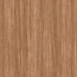 Eucalyptus - 8598 25 25