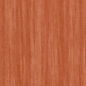 Eucalyptus - 8598 34 31